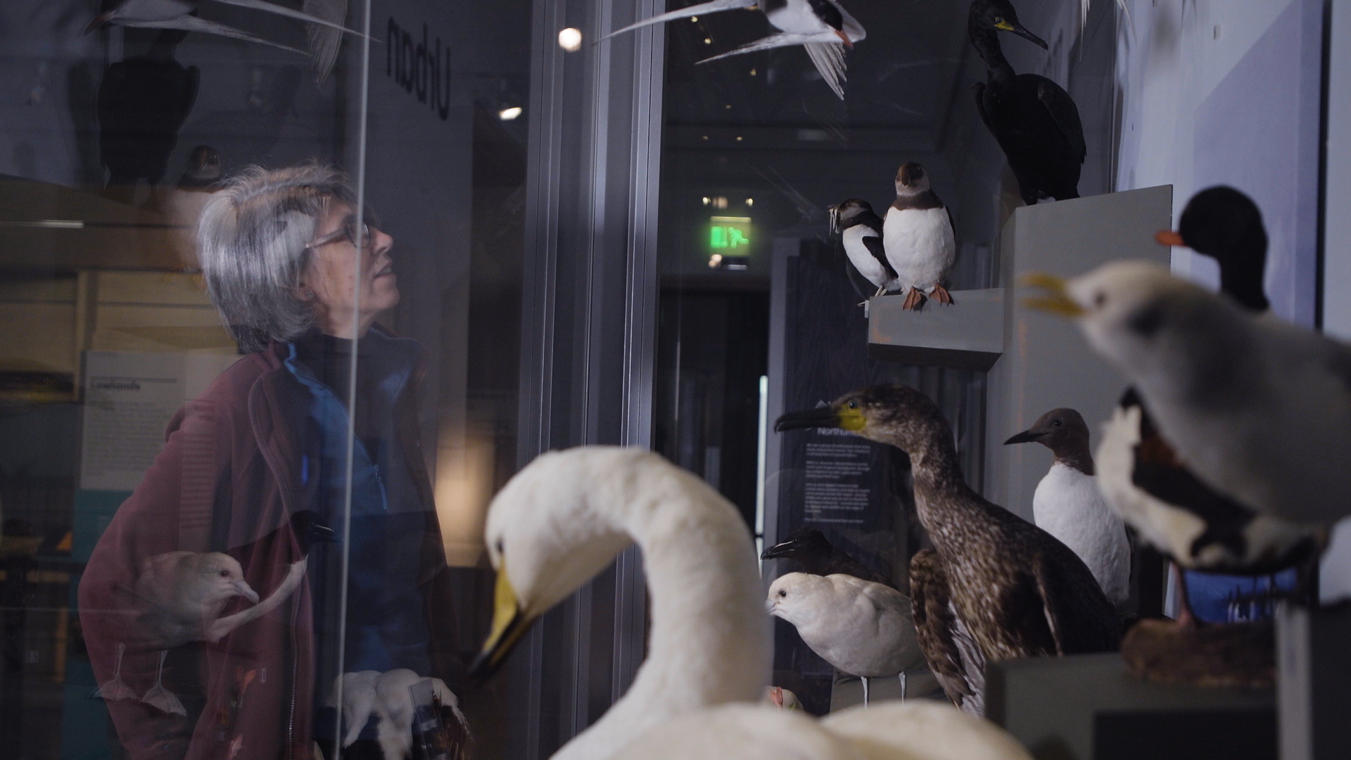 Tyne and Wear Archives and Museums